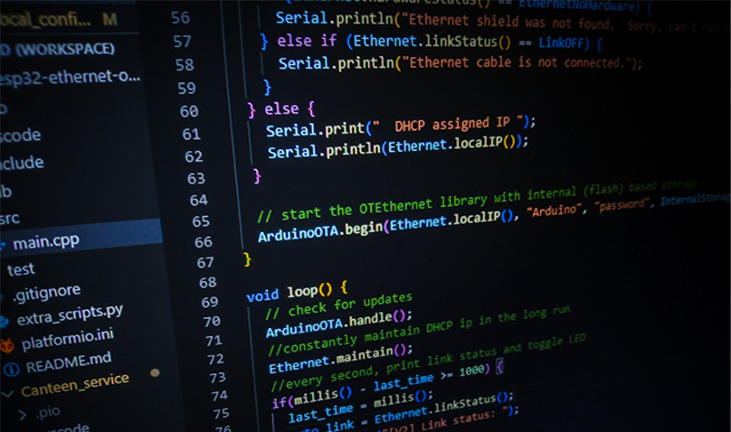 Software Development & Integration